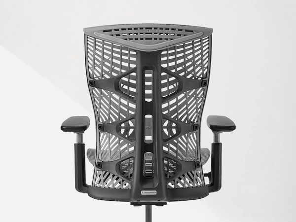 ErgoChair Plus