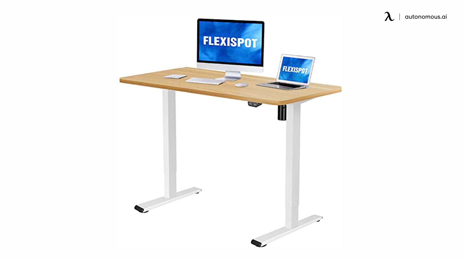 Flexispot bamboo standing desk