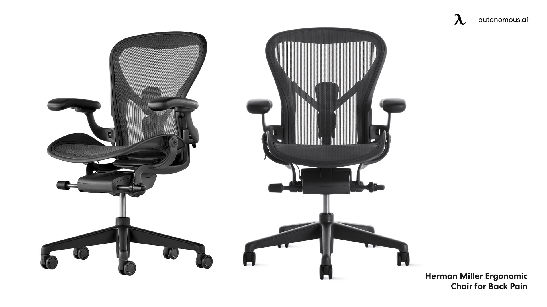 ergonomic chair for back pain