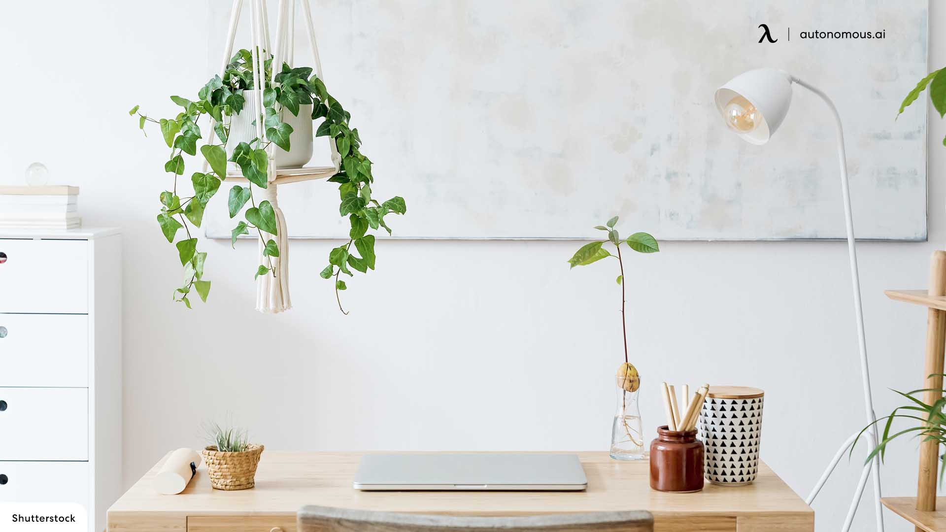 Add Plants to the office desk setup