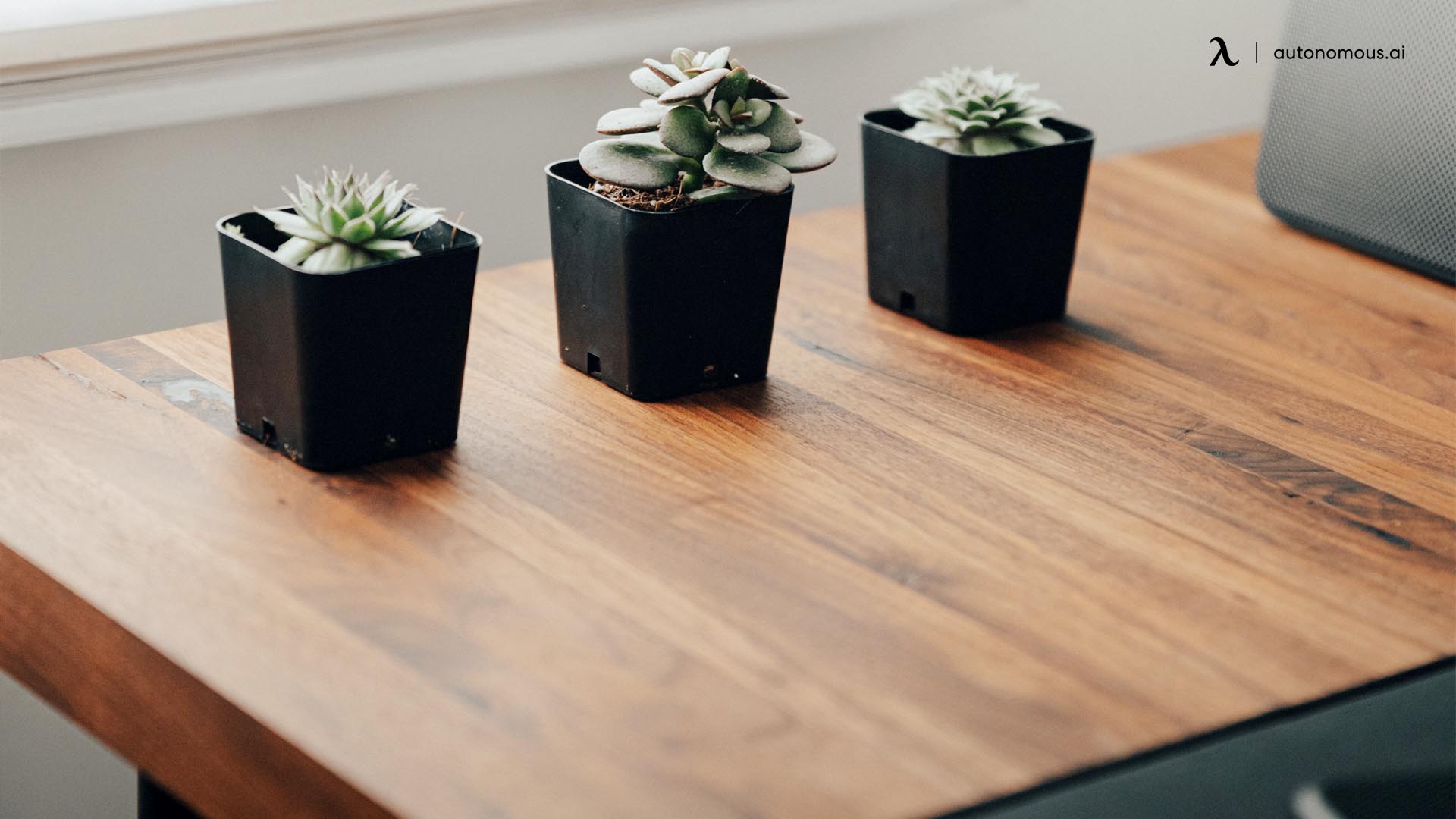 A solid wood adjustable height desk